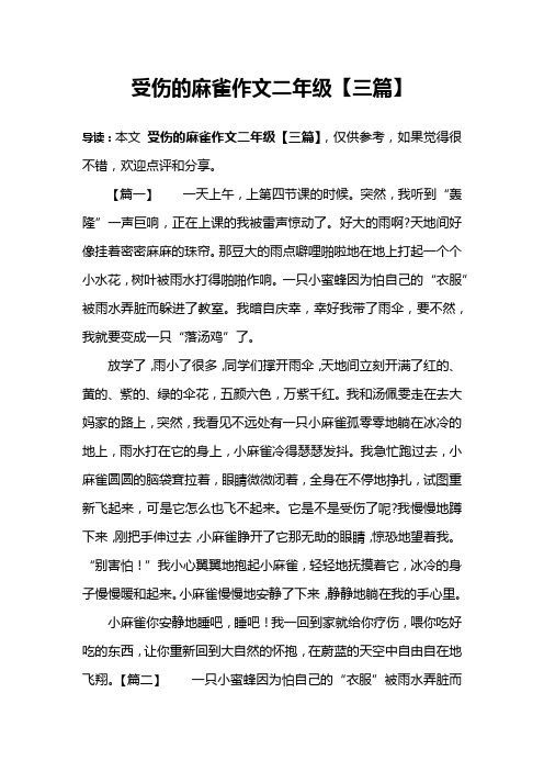 受伤的麻雀作文二年级【三篇】