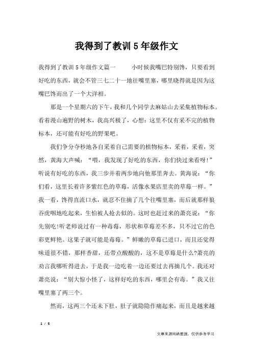 我得到了教训5年级作文_应用文