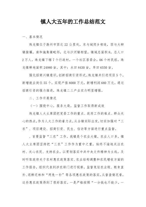 镇人大五年的工作总结范文