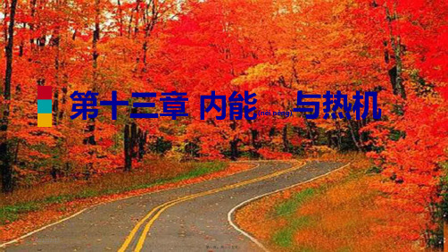 九年级物理全册 第十三章 第二节 科学探究：物质的比热容课件