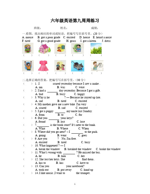 六年级英语第九周周练习