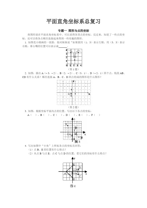 平面直角坐标系总复习