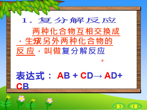 化学《复分解反应及其应用》教学课件设计