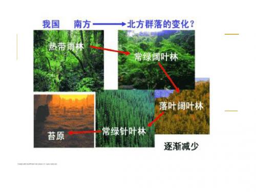 人教版高中生物必修3《4.3群落的结构》(36张ppt) (共36张PPT)