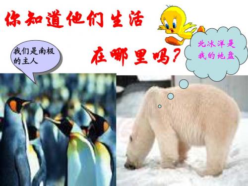 两极地区