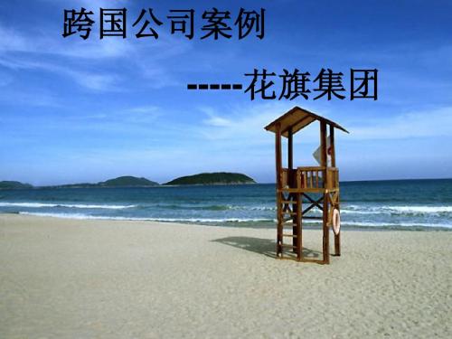跨国公司案例---花旗集团