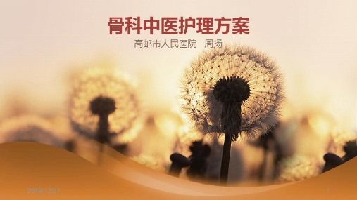 中医护理方案PPT课件