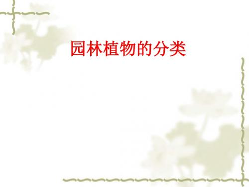 园林花卉的分类