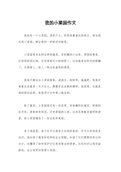 我的小菜园作文