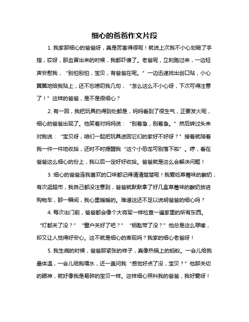 细心的爸爸作文片段