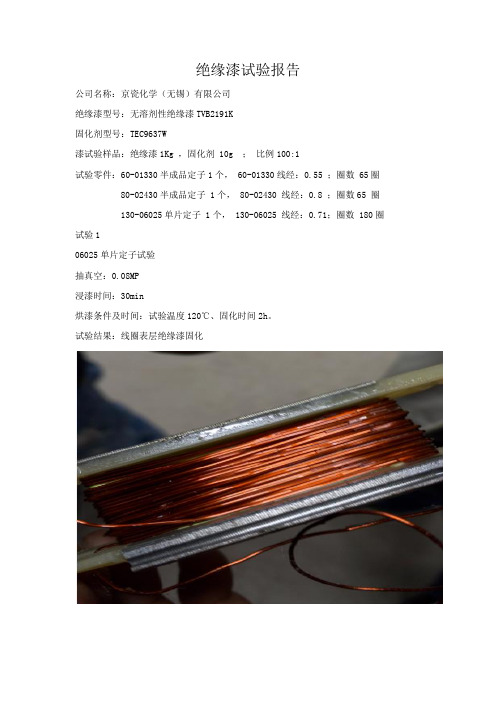 绝缘漆试验报告