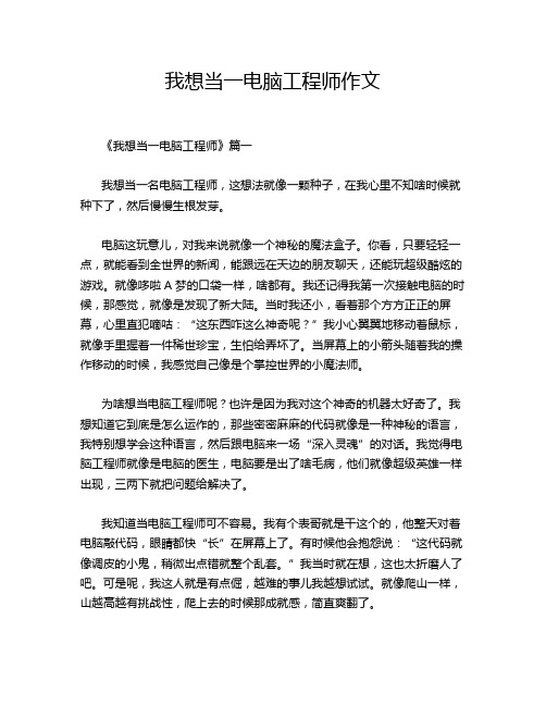 我想当一电脑工程师作文
