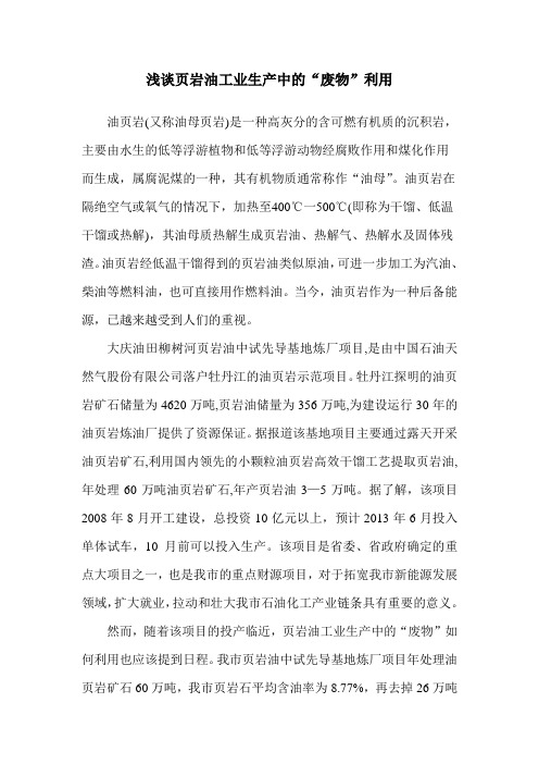 浅谈页岩油工业生产中的“废物”利用