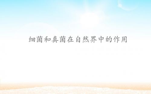 细菌和真菌在自然界中的作用 公开课精品课件
