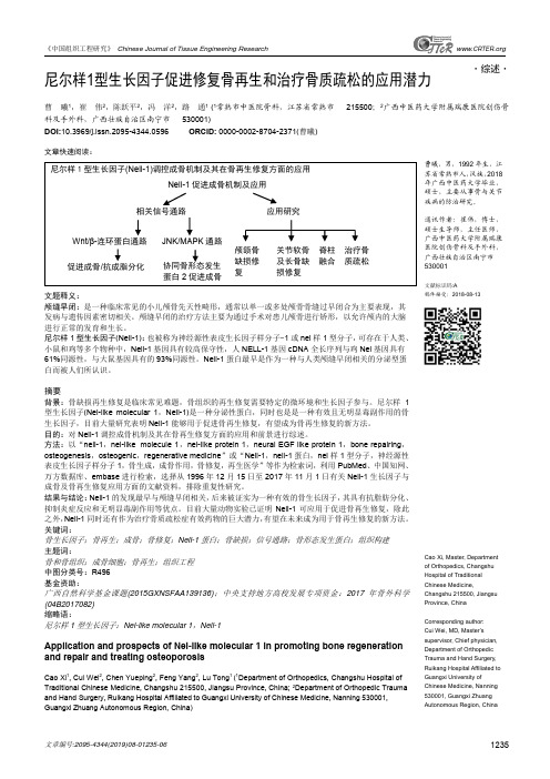 尼尔样1型生长因子促进修复骨再生和治疗骨质疏松的应用潜力