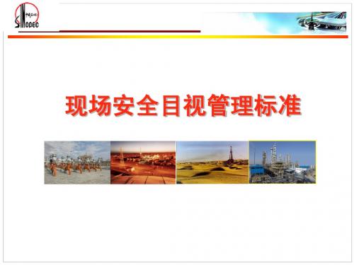西北油田HSE 管理方法与工具5-目视安全管理(改)