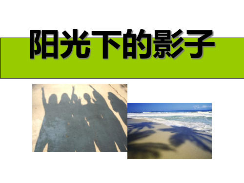 《阳光下的影子》光PPT课件四