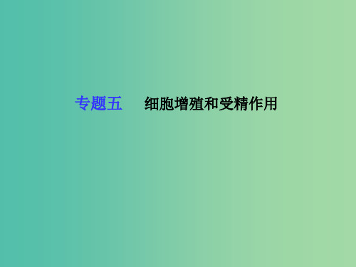 高考生物二轮复习 专题五 细胞增殖和受精作用 新人教版必修1