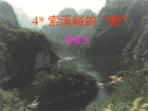 4 索溪峪的“野”