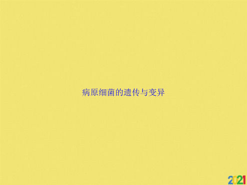 病原细菌的遗传与变异标准版