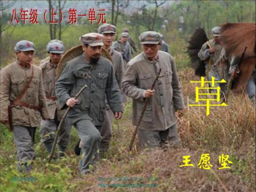 王愿坚-草