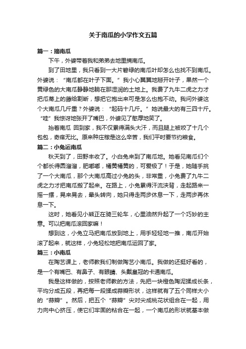 关于南瓜的小学作文五篇