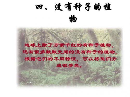 七年级科学没有种子的植物(201909)