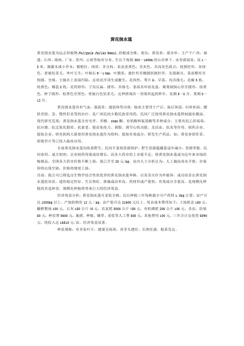 黄花倒水莲
