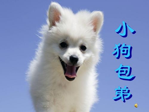 2003年度人物——颁奖辞穿越一个世纪,见证沧桑