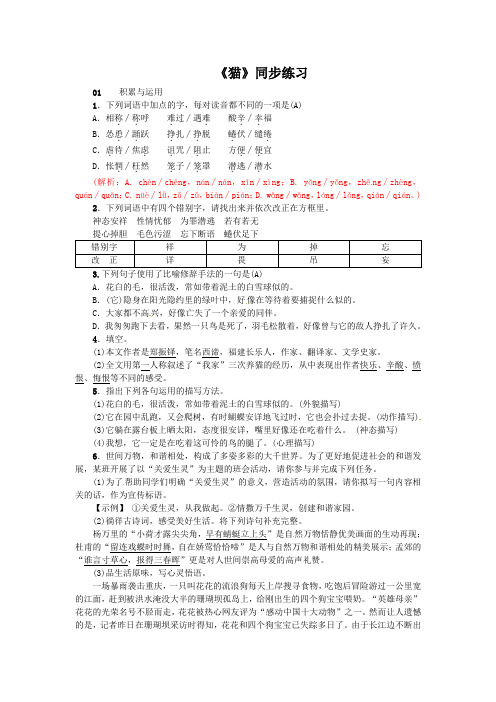 《猫》中考题型设计(含答案)(部编人教版七年级语文上册第16课)