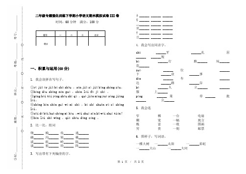 二年级专题强化训练下学期小学语文期末模拟试卷III卷