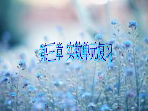 实数复习PPT精品课件
