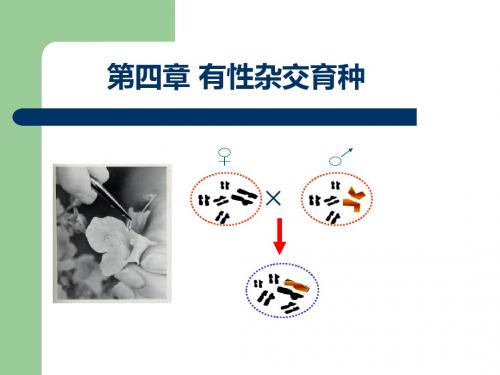 第四、五章园林植物杂交育种ppt课件