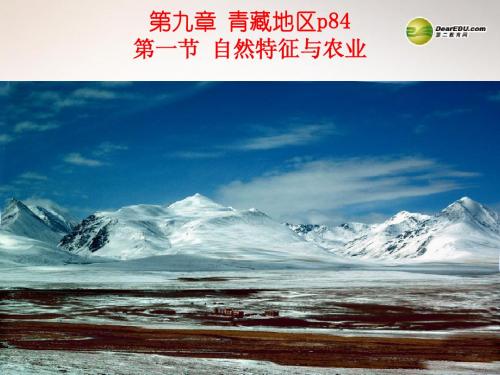 八年级地理下册 8.9 青藏地区自然特征与农业课件 (新版)新人教版o