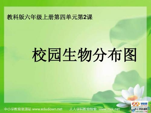 教科版科学六上《校园生物分布图》