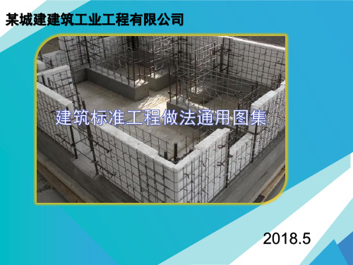 建筑标准工程做法通用图集(1)