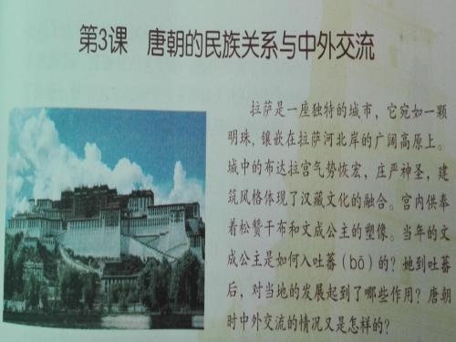 《唐朝的民族关系与中外交流》PPT实用课件 中图版