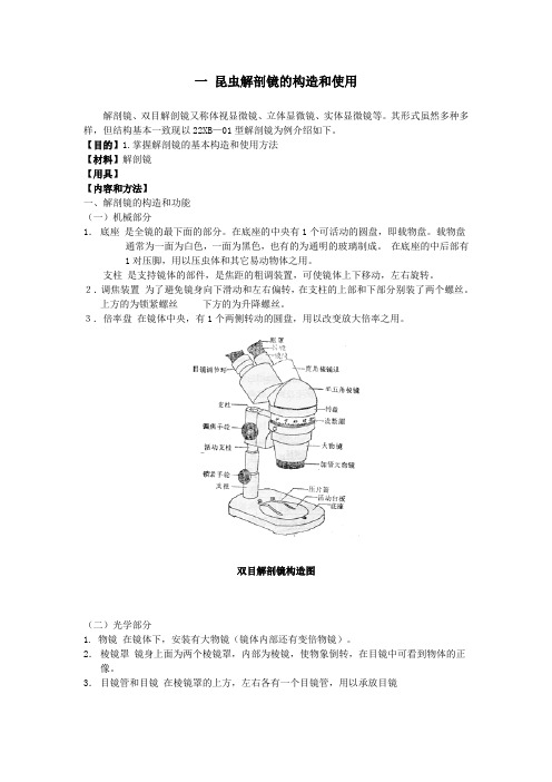 昆虫解剖镜的构造和使用