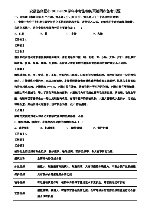 安徽省合肥市2019-2020学年中考生物仿真第四次备考试题含解析