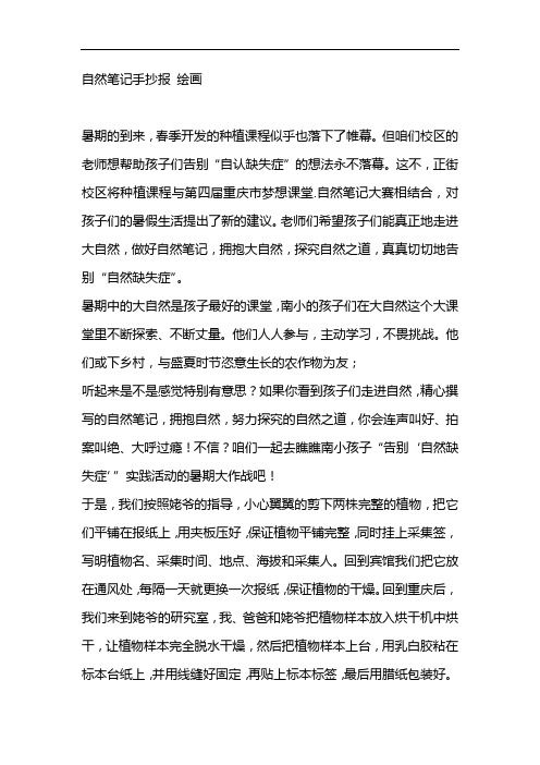 自然笔记手抄报 绘画