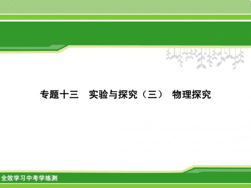 2014科学总复习专题十三 实验与探究(三) 物理探究
