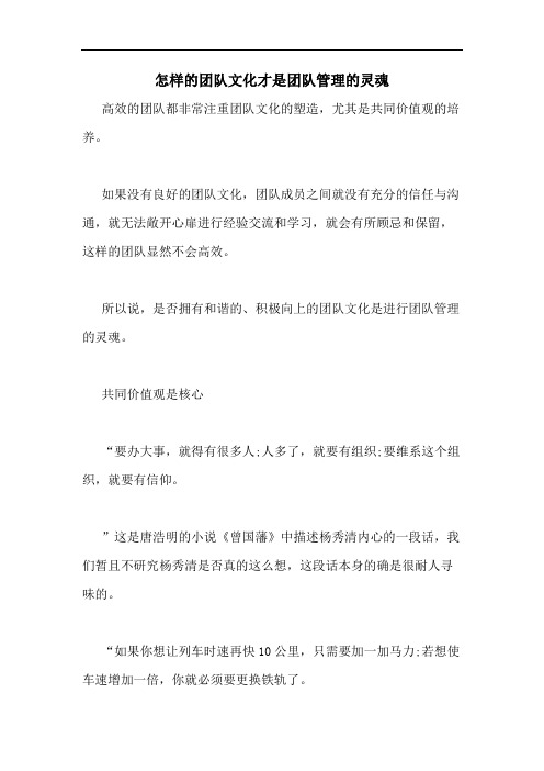 怎样的团队文化才是团队管理的灵魂