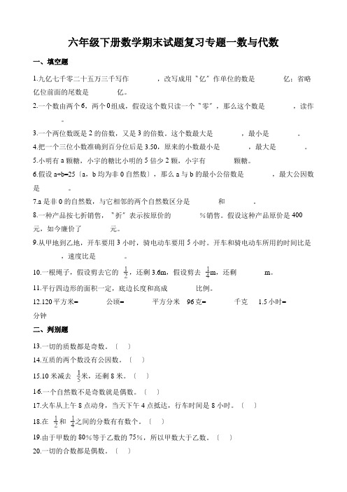 六年级下册数学期末试题复习专题一数与代数