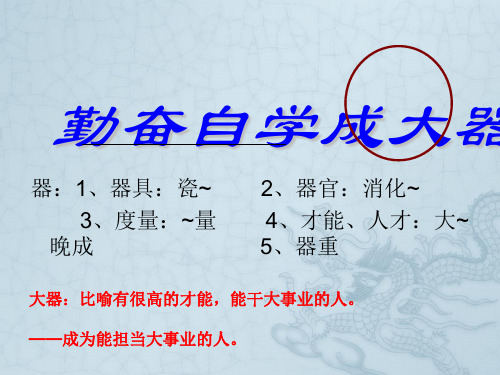 勤奋自学成大器