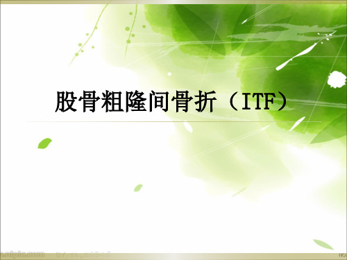股骨粗隆间骨折(ITF)