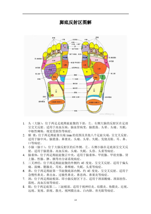 脚耳手部反射区图解解析