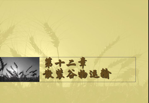 第十二章 散装谷物运输