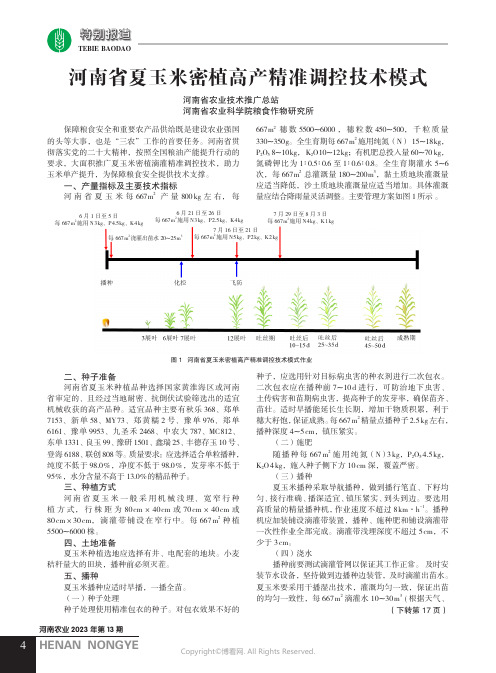 河南省夏玉米密植高产精准调控技术模式