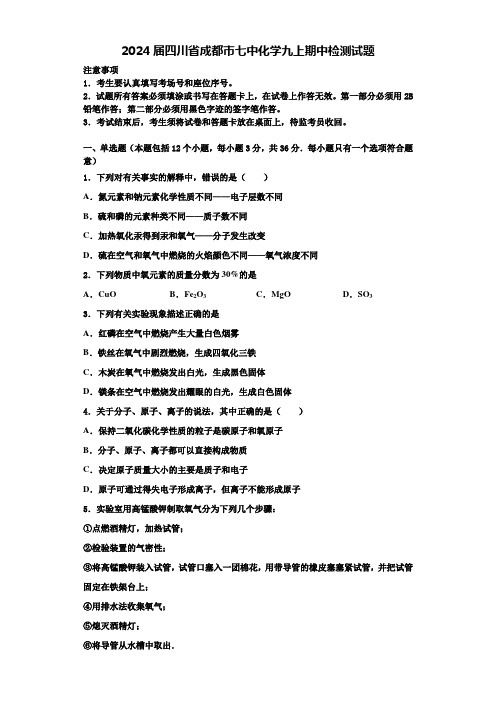 2024届四川省成都市七中化学九上期中检测试题含解析