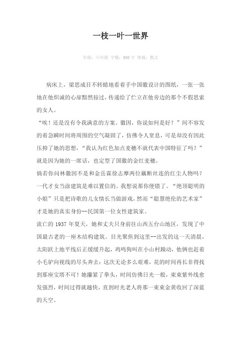 一枝一叶一世界900字作文